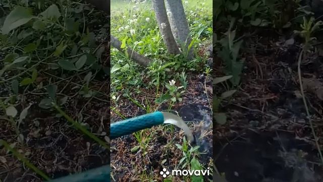 Песчаный фильтр и скиммер в действии смотреть онлайн