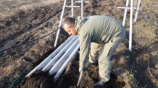 Виноград, укрытие на зиму шифером. смотреть онлайн