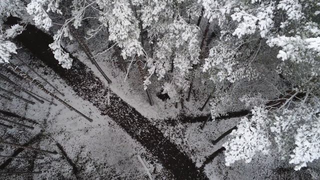 Sappheiros - Passion