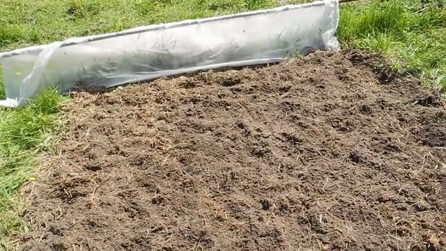 Сверхпроизводительный вариант посадки  капусты брокколи