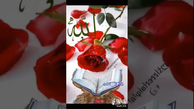 ин ша аллох все хорошо будет делать надо дува смотреть онлайн