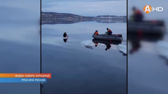 Пришла весна! Спасатели сняли замёрзшую молодую северянку с дрейфующей по заливу льдине смотреть онлайн