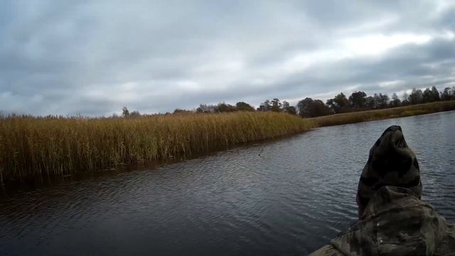 Всё ещё сидим в изоляции, и вспоминаем. смотреть онлайн