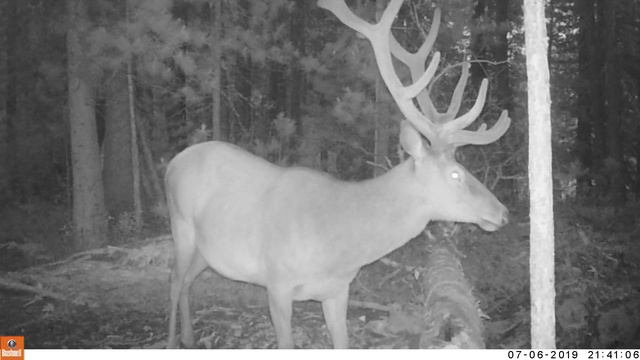 Река Поэтичная - , Она и Мур гл 12 Мужской разговор ,, смотреть онлайн