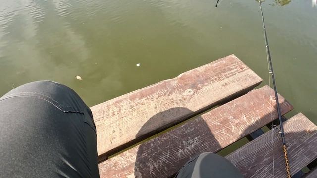 Спиннинг в жару смотреть онлайн