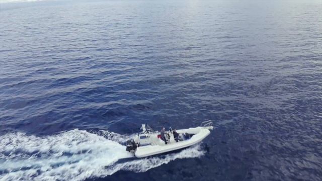 Great White With Suzuki DF175 in Anavyssos, Greece смотреть онлайн