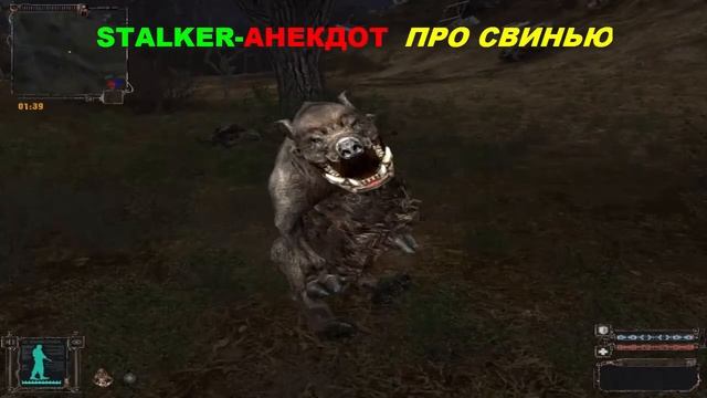 S.T.A.L.K.E.R-АНЕКДОТ ПРО СВИНЬЮ))) смотреть онлайн