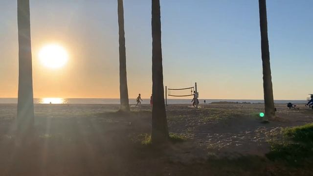 Venice Beach Valley Ball & Vibes смотреть онлайн