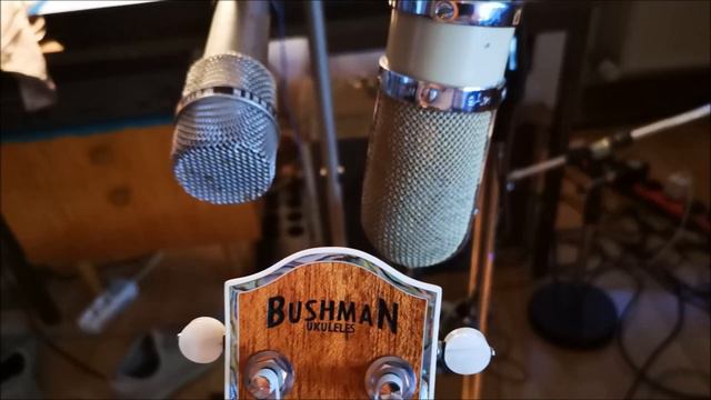 Bushman Jenny concert uke & Oktava ML-16 ribbon mic 1966 смотреть онлайн
