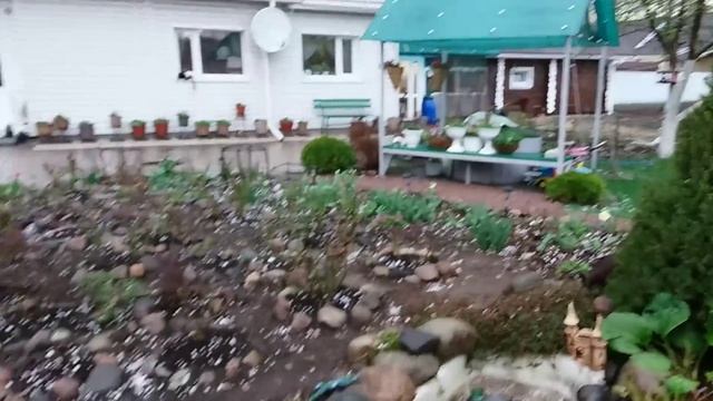 ПОСЛЕДСТВИЯ крупного града в моём саду. Что случилось с растениями? смотреть онлайн