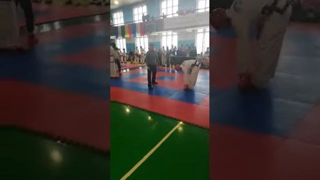 Чемпионат по тхэквондо гтф 16.03.19 смотреть онлайн