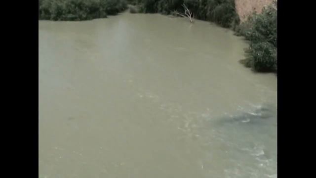 Cordoba смотреть онлайн