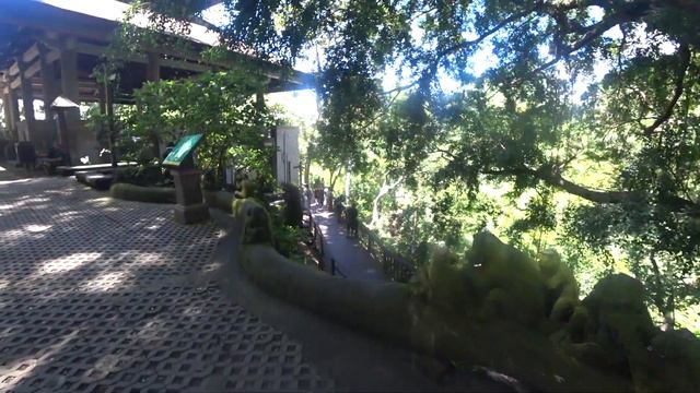 Бали. Убуд. Знакомство с городом. Лес обезьян Monkey Forest смотреть онлайн