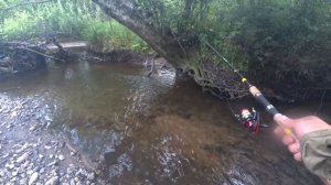 РЫБАЛКА НА ХАРИУСА И ЛЕНКА НА МАЛЫХ РЕКАХ НА СЕВЕРЕ ПРИМОРЬЯ