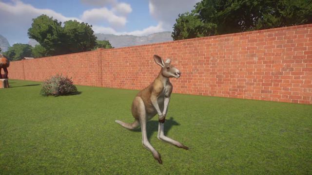 Planet Zoo (PC)(English) #95 11 Minutes of Red Kangaroo (Australia DLC) смотреть онлайн