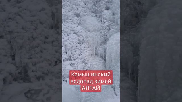 8 декабря 2022 г. смотреть онлайн