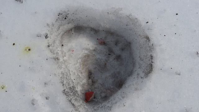 Петарды - Корсар 4 смотреть онлайн