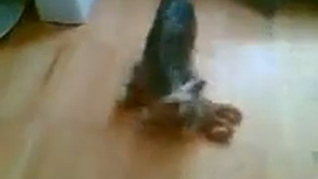 Страшный зверь смотреть онлайн