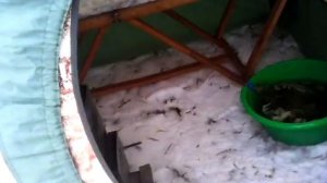 Мобиба Мб_10