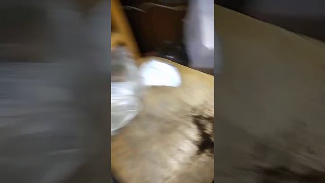 не детские заботы...в китайский новый год... смотреть онлайн