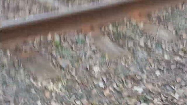 самарские трамваи, с редким трамваем смотреть онлайн