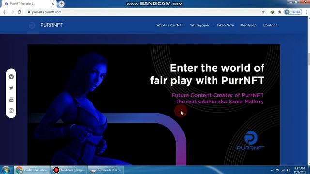 PURRNFT is great and wonderful concept project. смотреть онлайн