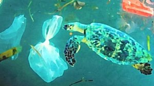 пластиковое загрязнение в океане