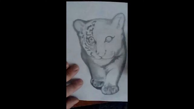 Тигренок Рисунок карандаом HB,B,2B смотреть онлайн