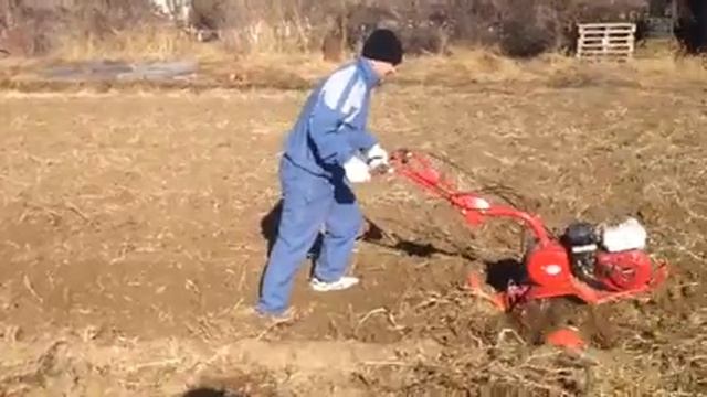 Мотоблок Салют-100 смотреть онлайн