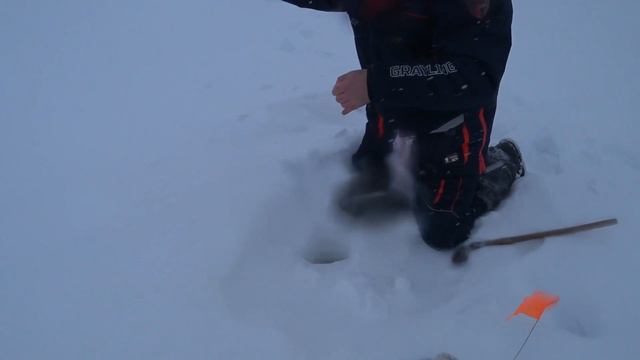 Зимняя рыбалка 27.01.2023 г... плюс прошлая рыбалка. смотреть онлайн