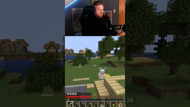 Friendly Fire #minecraft #shorts смотреть онлайн