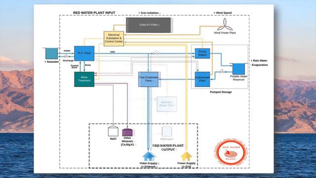Red Water Plant - Brief Presentation смотреть онлайн