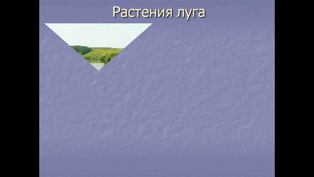 Жизнь луга смотреть онлайн