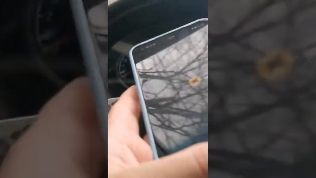 Яндекс Про, не видно точку Б ! Что делать ? #курьер #яндексдоставка #работа #володиков смотреть онлайн