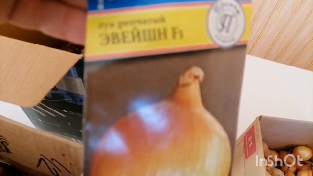 Борюсь с ТРИПСАМИ на рассаде ,луке и гладиолусах ! смотреть онлайн