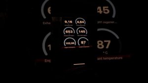 Прожиг сажевого фильтра