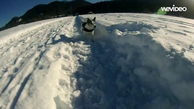 Пример замедленной съемки на экшн камере смотреть онлайн