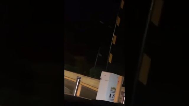 Просто филин, просто полетел)) смотреть онлайн