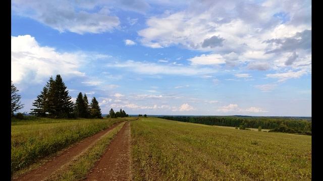 Н Гоголь И какой же русский не любит быстрой езды Отрывок из поэмы "Мертвые души"#писатели19века смотреть онлайн
