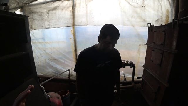 Цветочный бизнес в Казахстане. Что растёт в такой жаре…