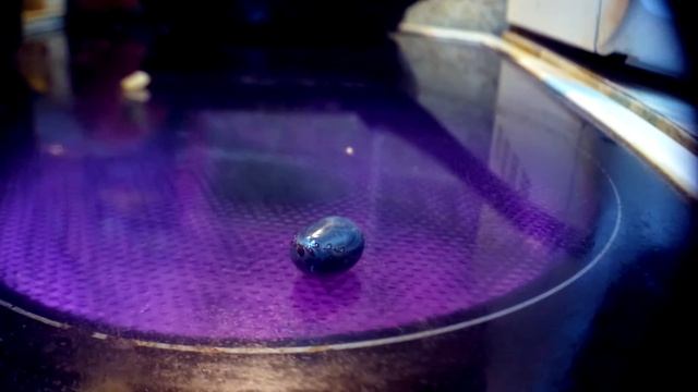 Напитый клещь ! Жарим на плитке !!! смотреть онлайн