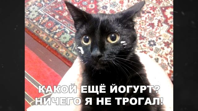 Лютые приколы. Злая Свинка Пеппа. угарные мемы смотреть онлайн