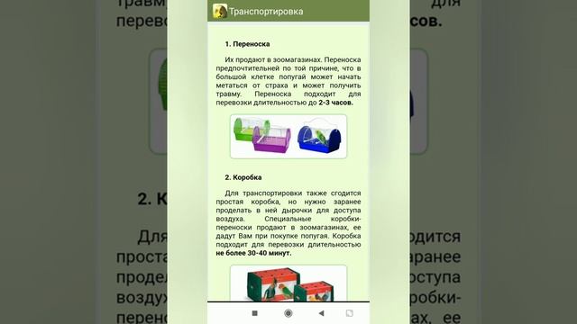 Транспортировка волнистого попугая смотреть онлайн