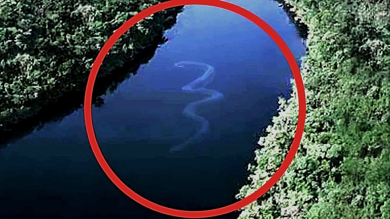 СМЕРТОНОСНЫЕ "МОНСТРЫ" АМАЗОНКИ смотреть онлайн