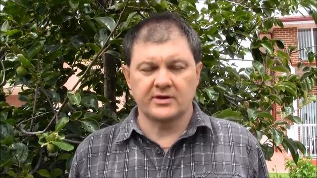 В первую очередь помогаем тем, кто едет в проекте "Рамзес". Рамзес-724 смотреть онлайн