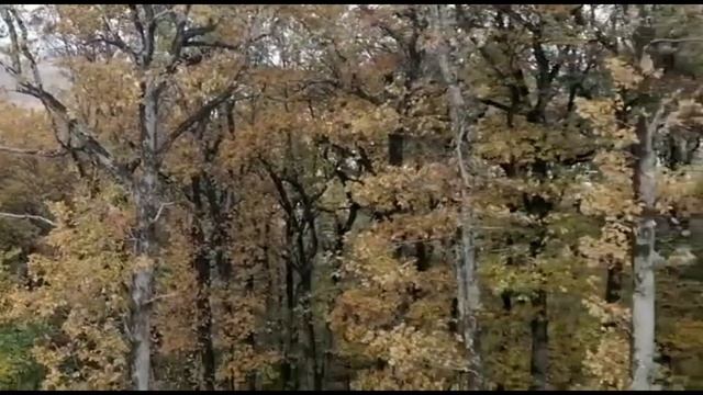 Горячий ключ / канатная дорога / стоит ли ехать? смотреть онлайн