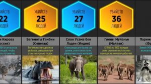 Серийные Убийцы из Мира Животных (Сравнение)