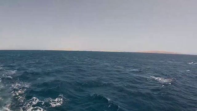Египет! Хургада! Дайвинг! Морской тур! Акваланг! Красное море! Июнь 2021! смотреть онлайн