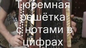 Сегодея я надену майку голубую с нотами в цифрах