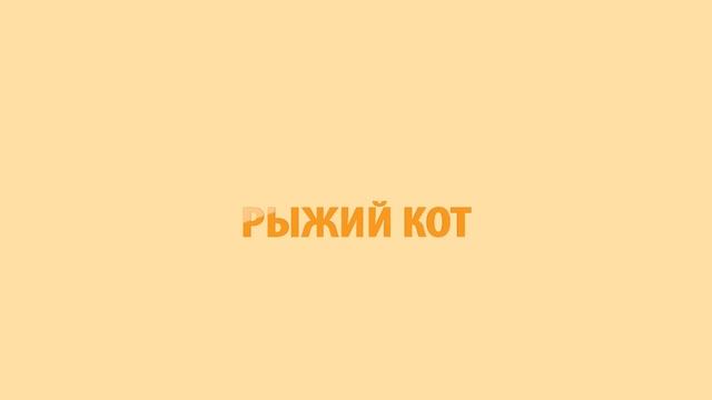 Промо ролик - Интеллектуального марафона "Рыжий кот"" смотреть онлайн